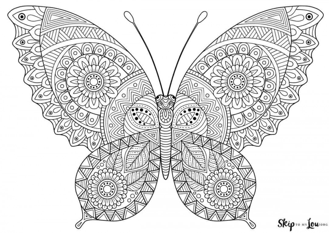 Beautiful Butterfly Coloring Pages to Download and Print