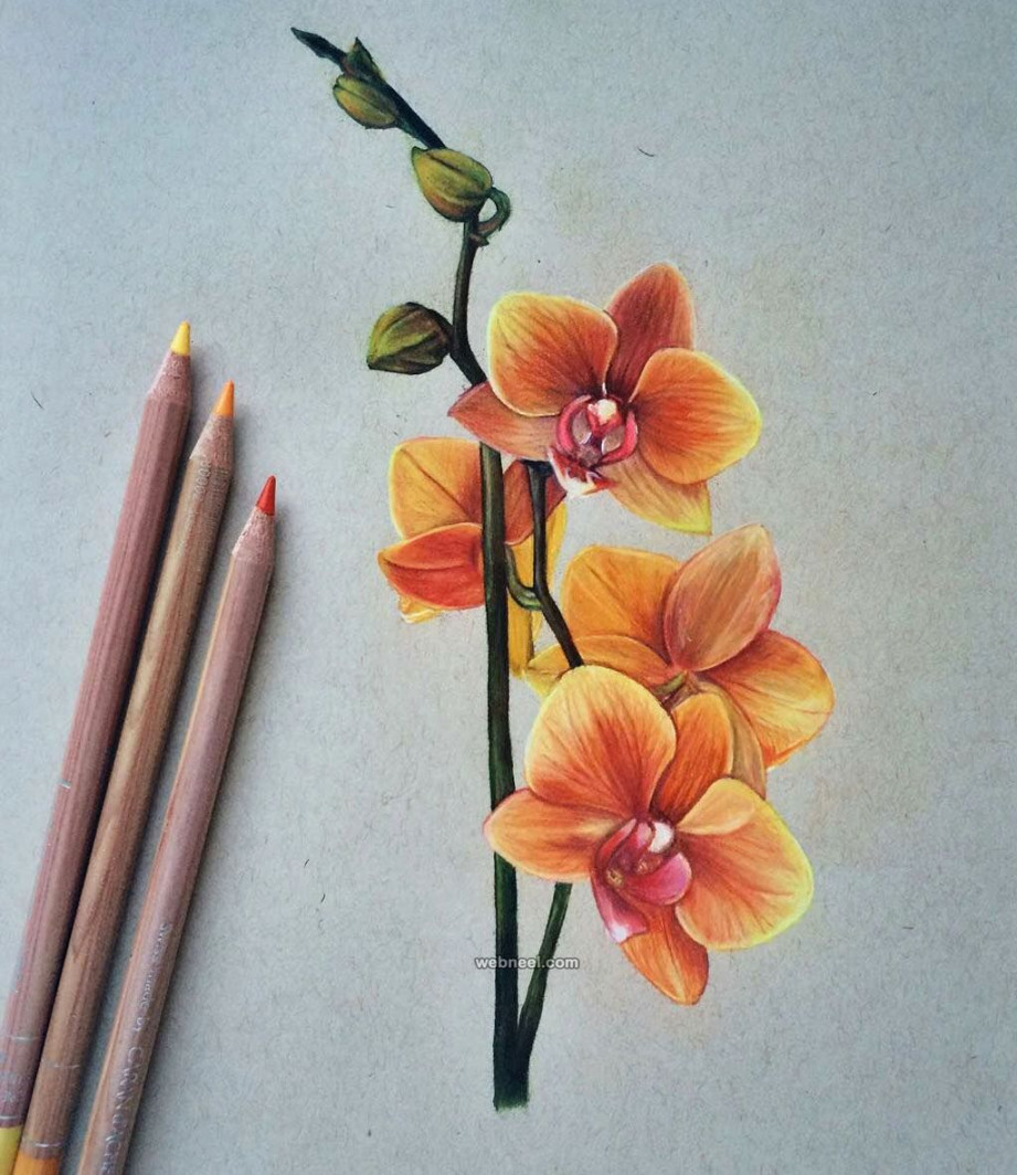 Beautiful Color Pencil Drawings from top artists around the