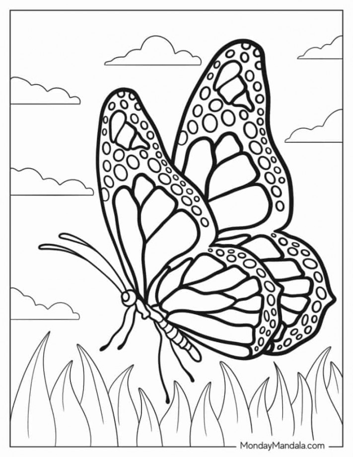 Butterfly Coloring Pages (Free PDF Printables)