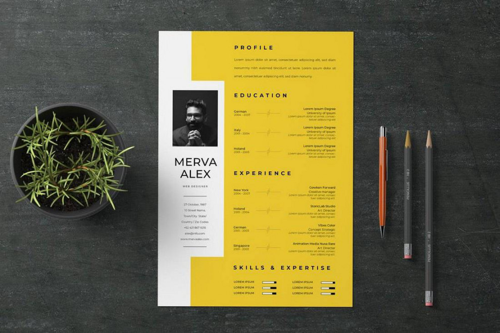 Creative CV Template  Design Shack