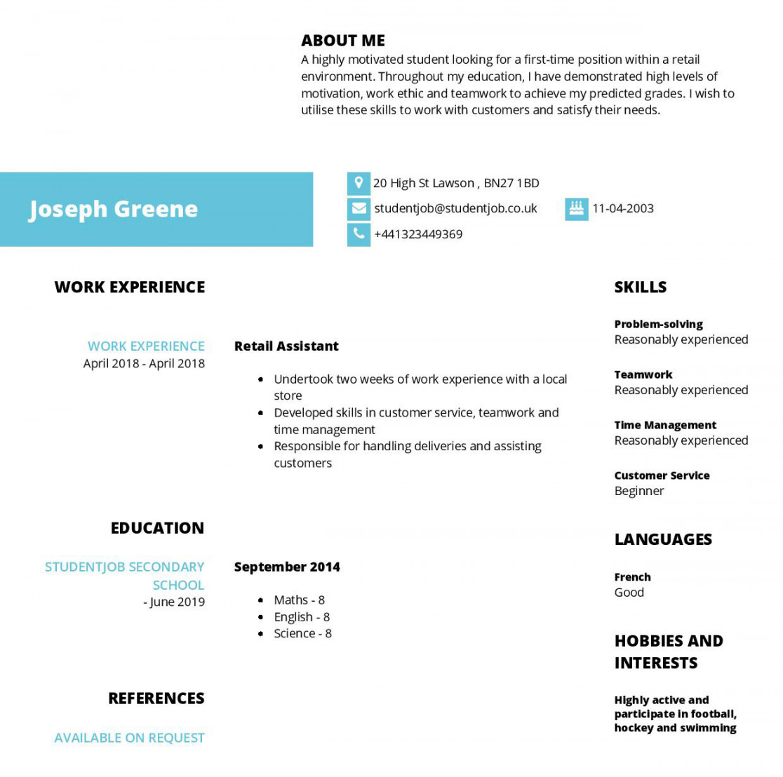 CV Examples And CV Templates  StudentJob UK