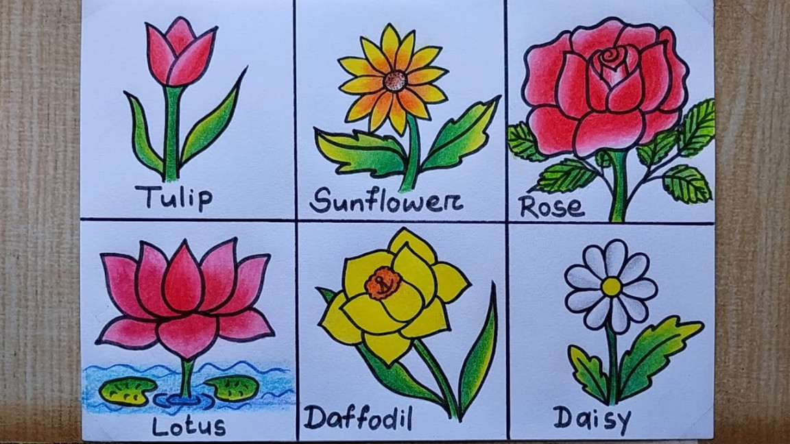 Different types of Flowers drawing easy Flower chat making How to draw  different types of flower