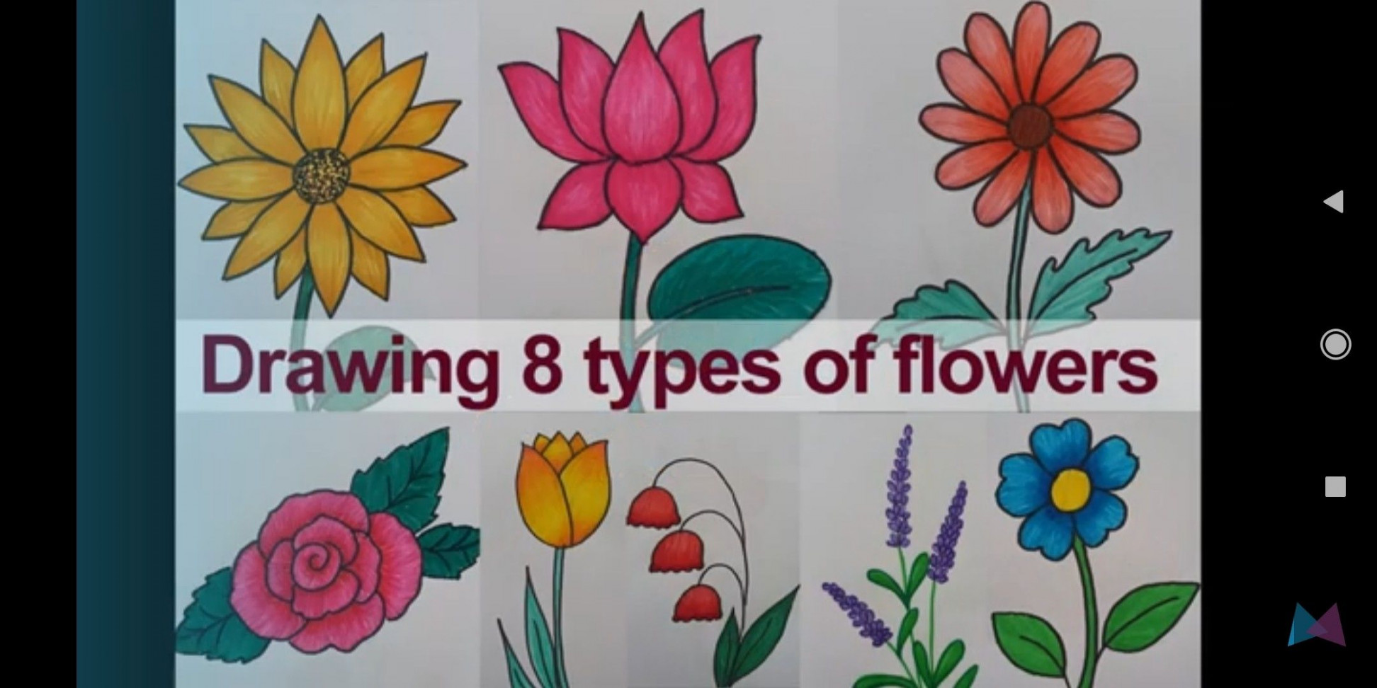 Drawing  types of flowers - Easy steps  Flower doodles, Flower