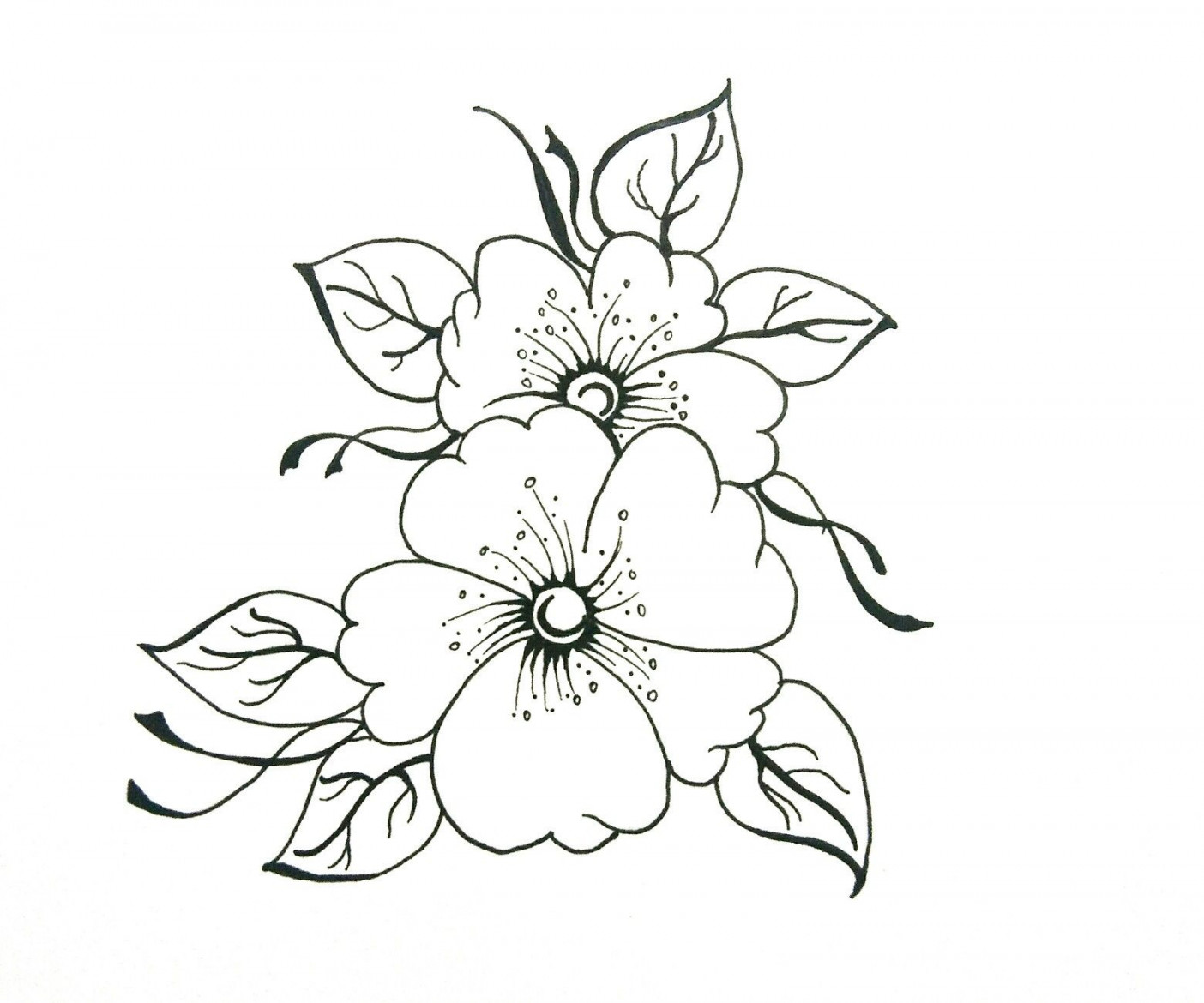 Easy flower drawing  Easy flower drawings, Flower drawing, Pencil