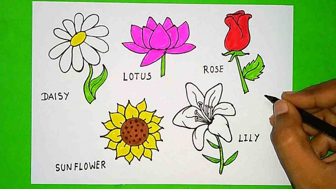 Easy Flowers Drawing  Learn Flowers Names and Drawing  Daisy, Lotus,  Rose, Sunflower, Lily