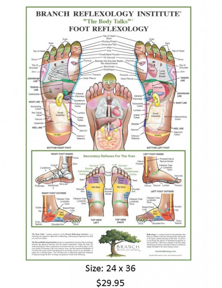 Foot Reflexology Wall Chart