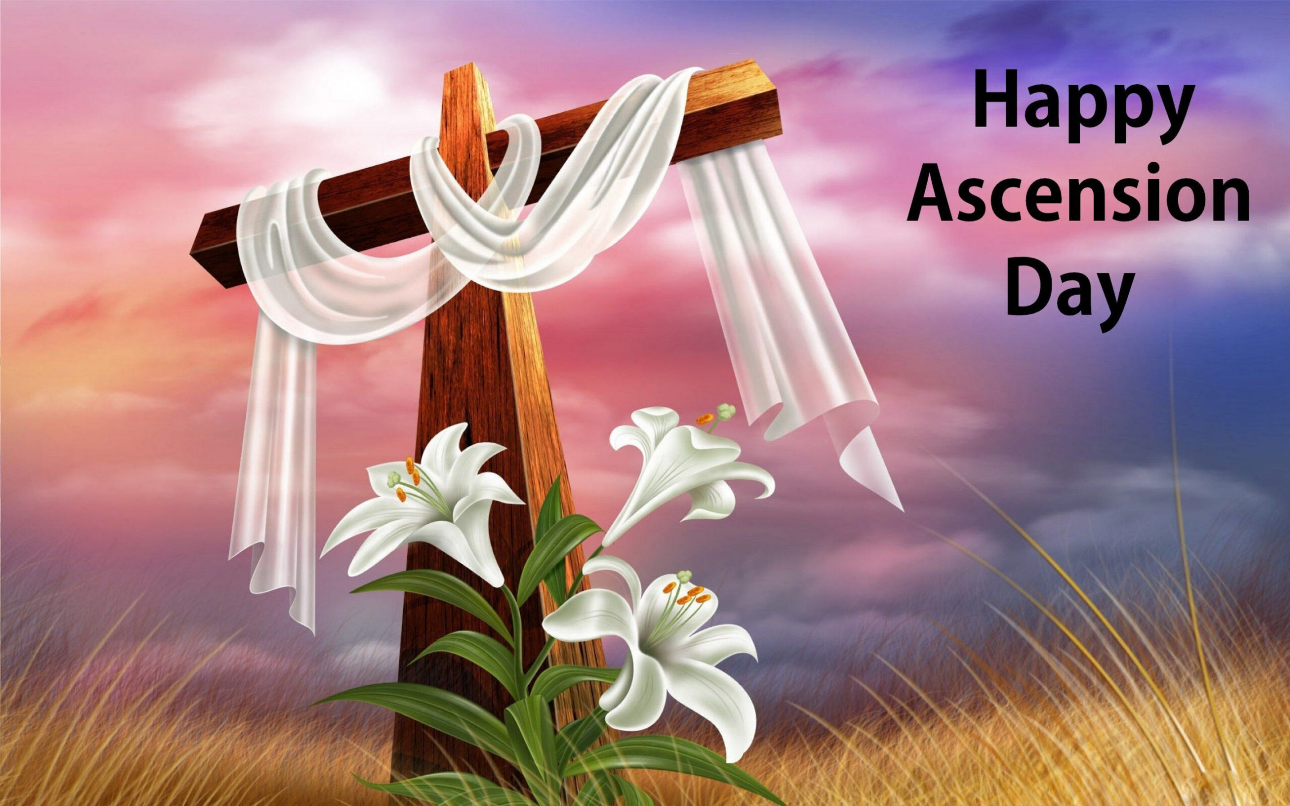 Happy Ascension Day  Happy easter pictures, Easter pictures