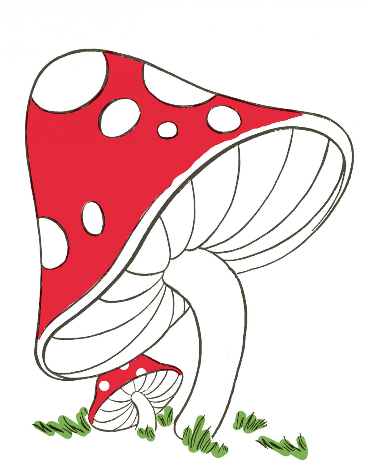 Mushroom Drawing Easy! - The Graphics Fairy