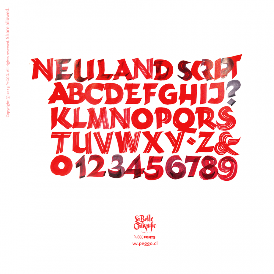 Neuland Calligraphy on Behance  Lettering alphabet fonts