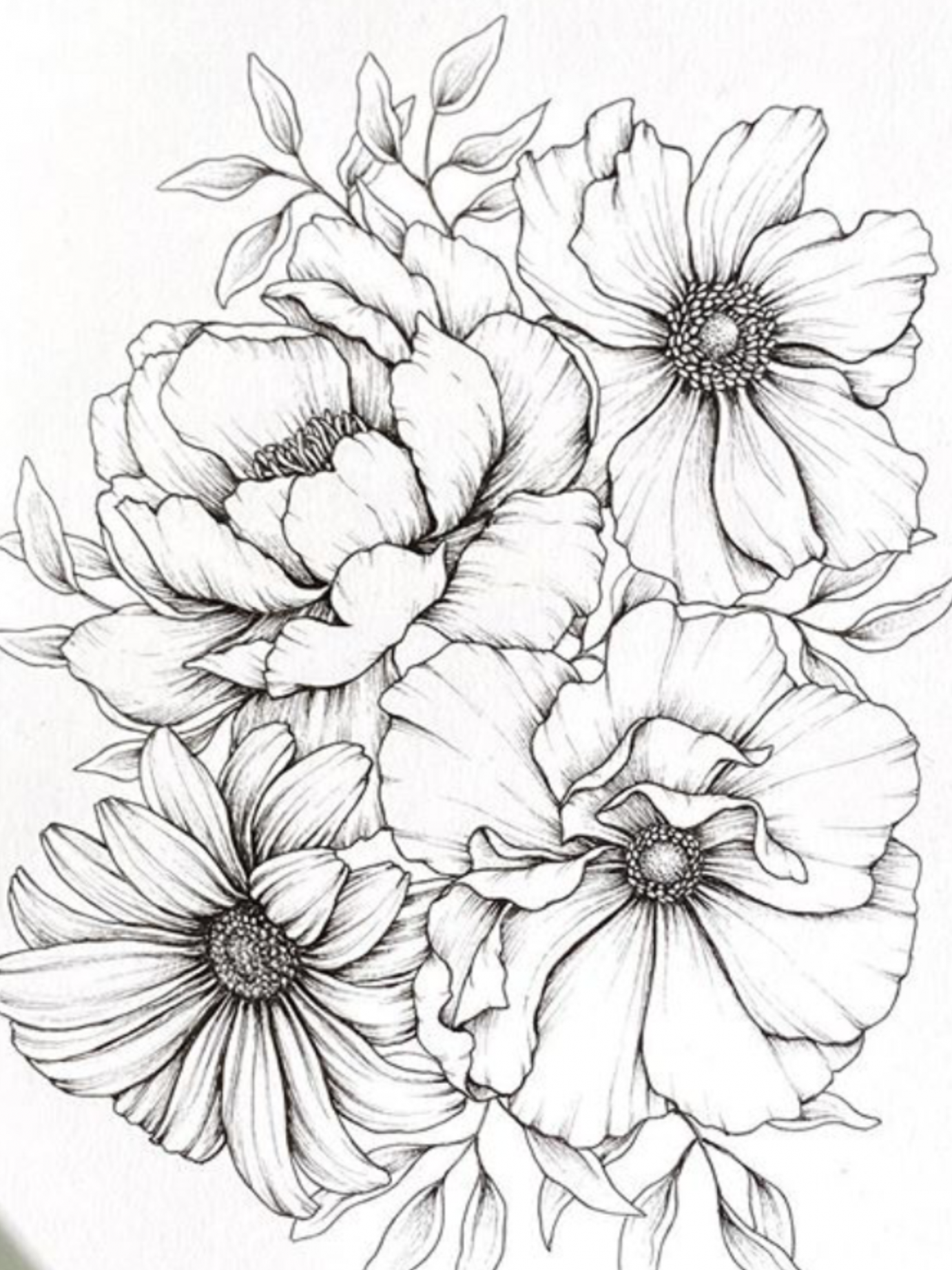 Pin by Ic on 花  Flower art drawing, Realistic flower drawing