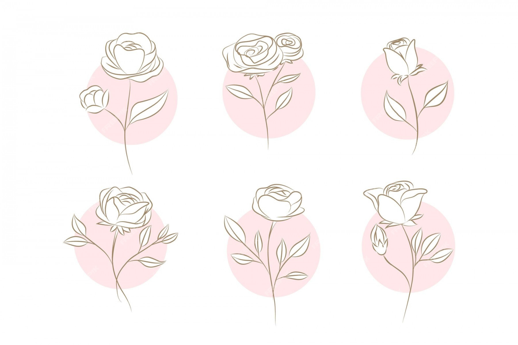 Premium Vector  Flower outline drawing reference element