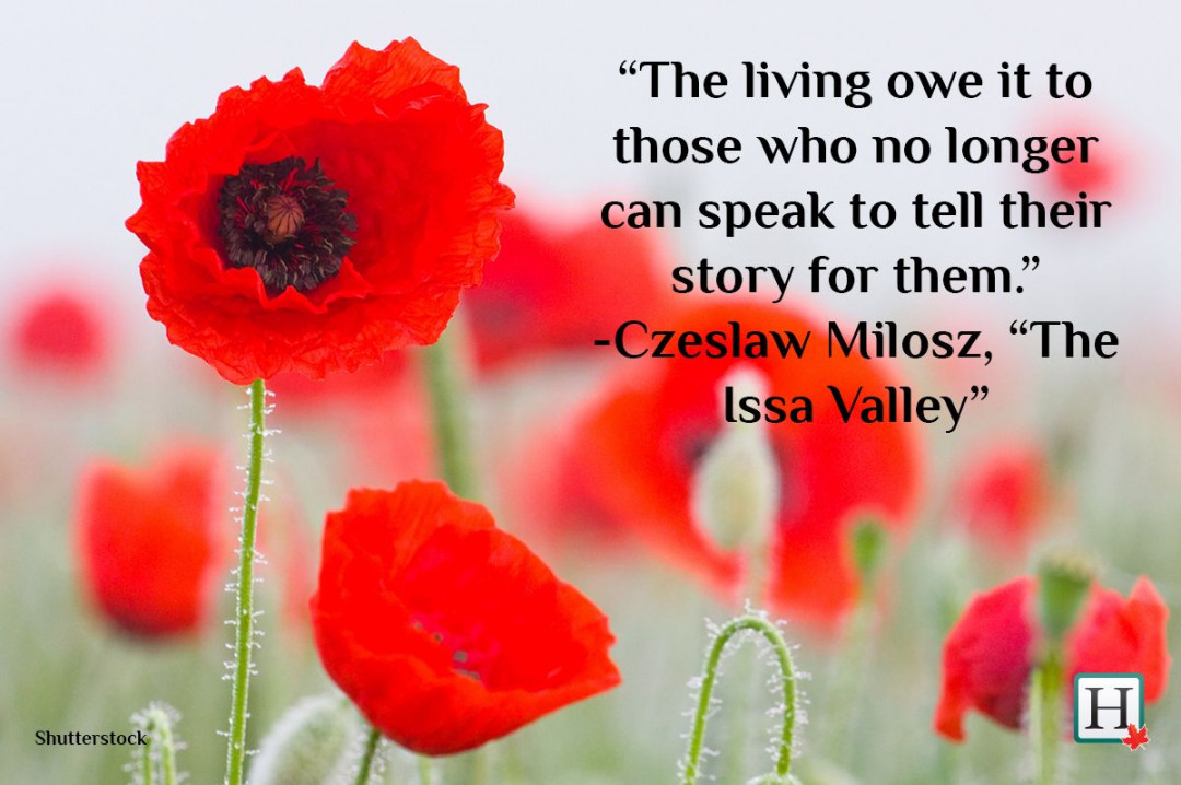 Quotes To Express Remembrance Day Thoughts  Remembrance day