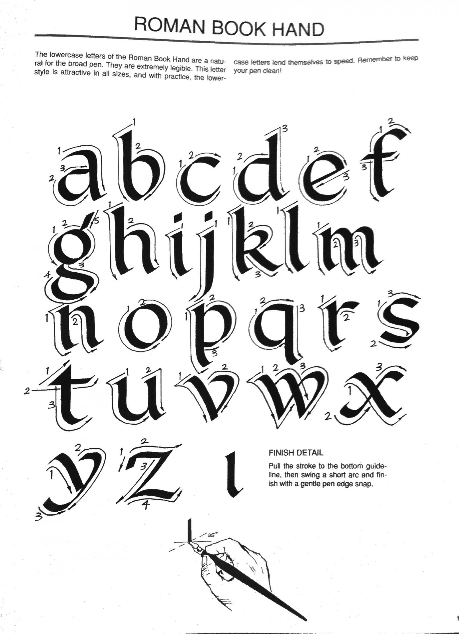 Roman Bookhand  Lettering, Lettering alphabet, Calligraphy