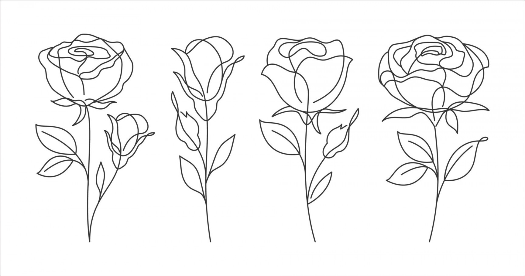 Set of  Roses line art drawing