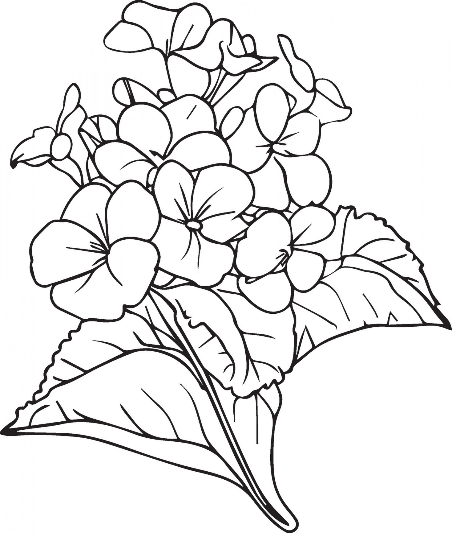 simple flower coloring pages, Coloring pages for adults, hand