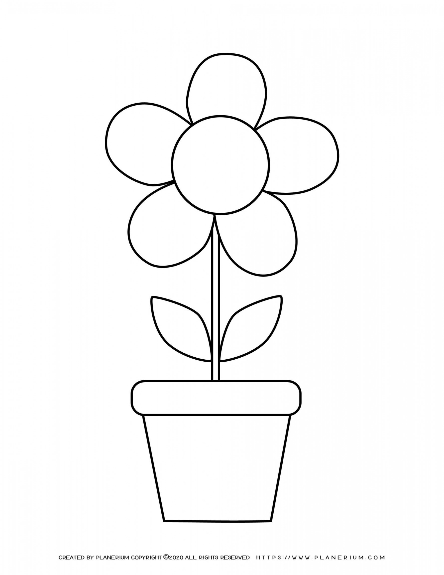 Spring - Coloring page - Flower in a Pot template  Planerium