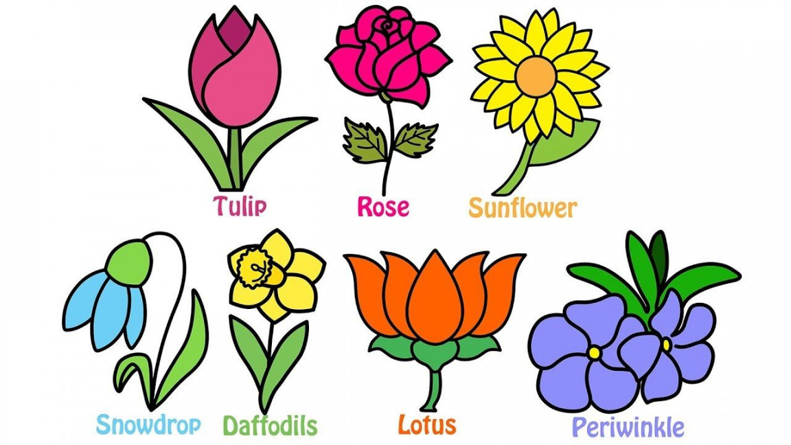 The Best Flowers Images For Drawing With Names And Review