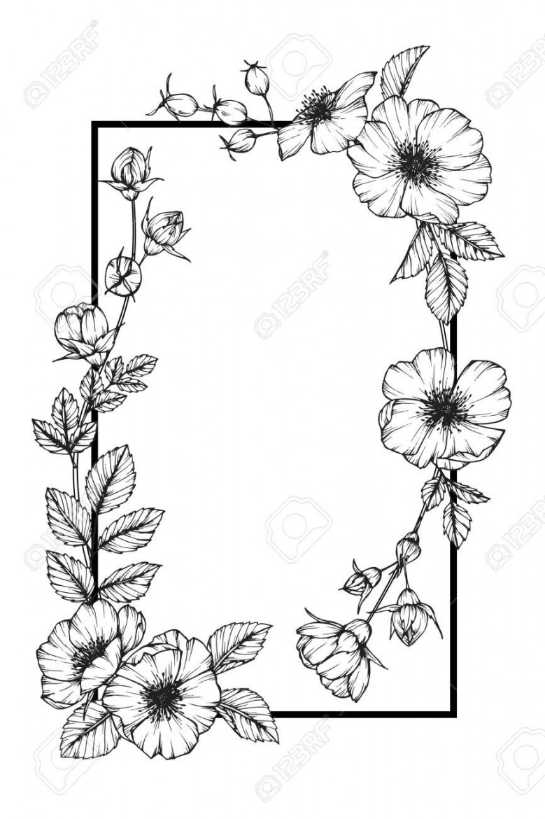 Wild rose flower frame drawing