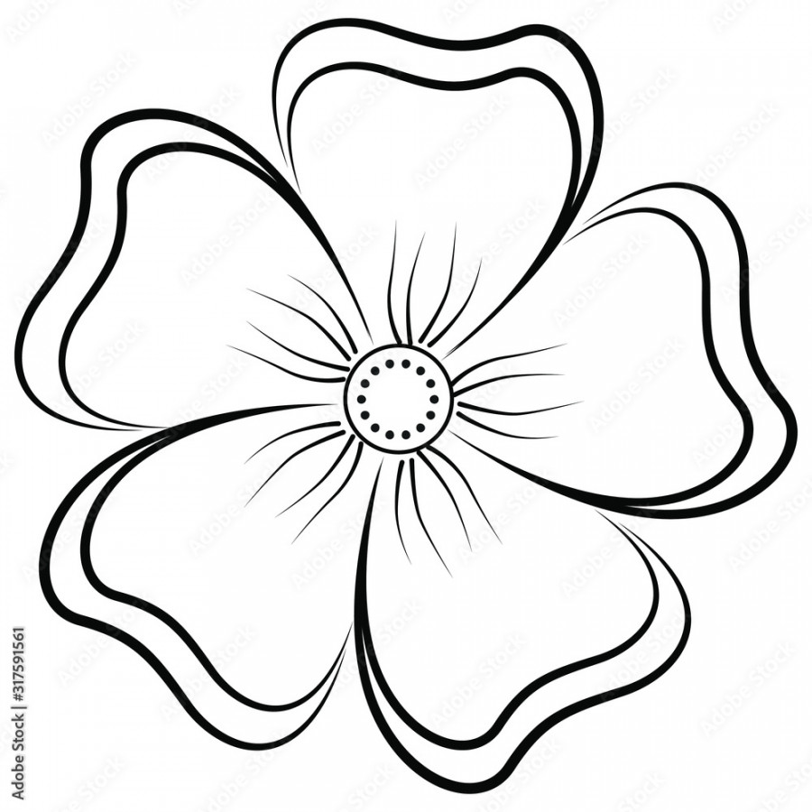 A flower with five petals. The silhouette of a small flower