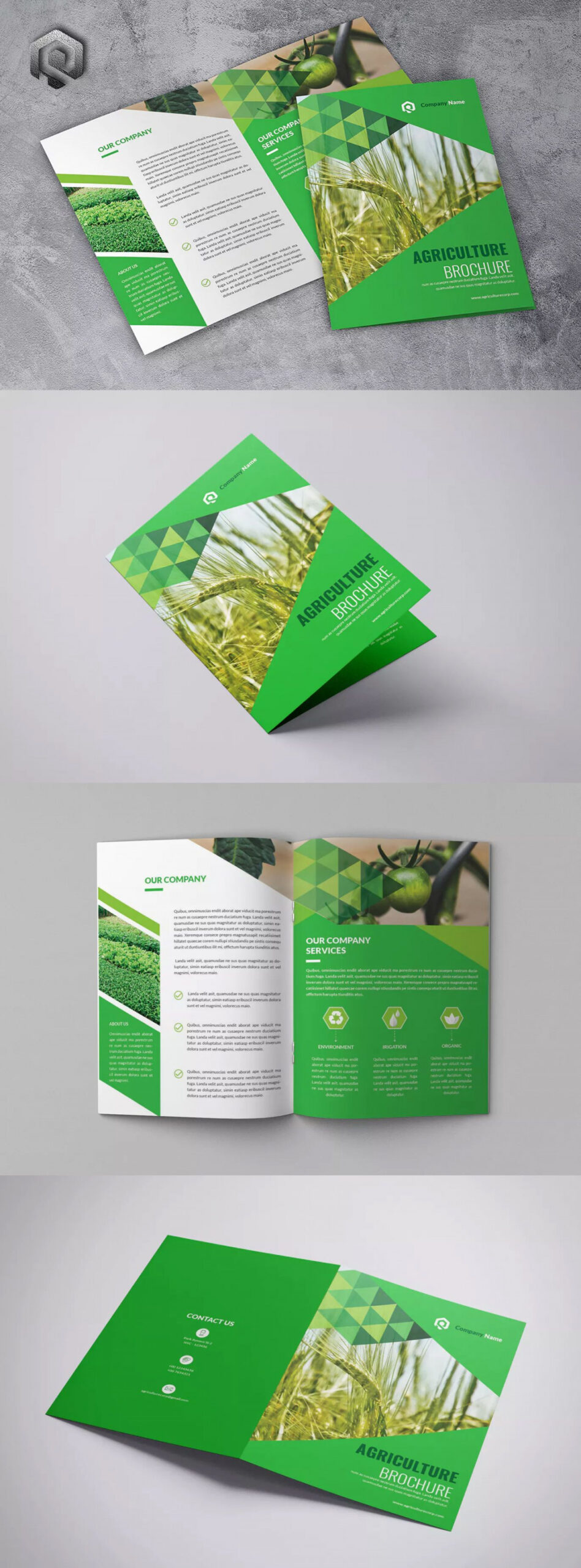 Agriculture Bifold Brochure Template InDesign INDD  Brochure