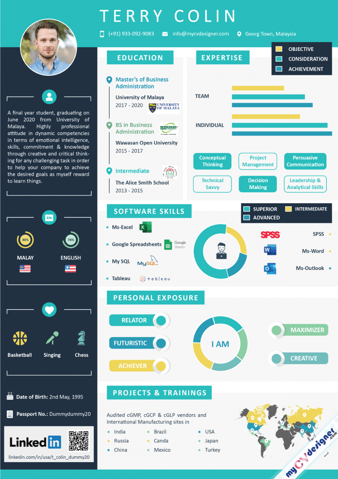 Best Infographic Resumes  Infographic Resume Maker  Infographic CV - My  CV Designer