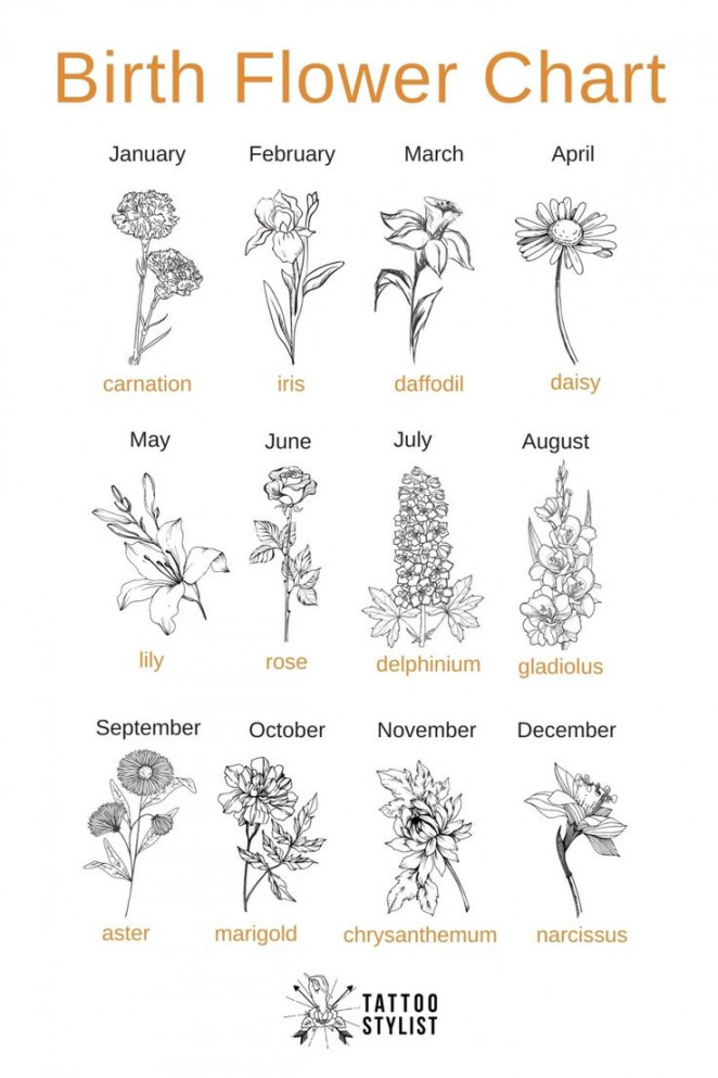 Birth Flower Chart infographic  Birth flower tattoos, Birth