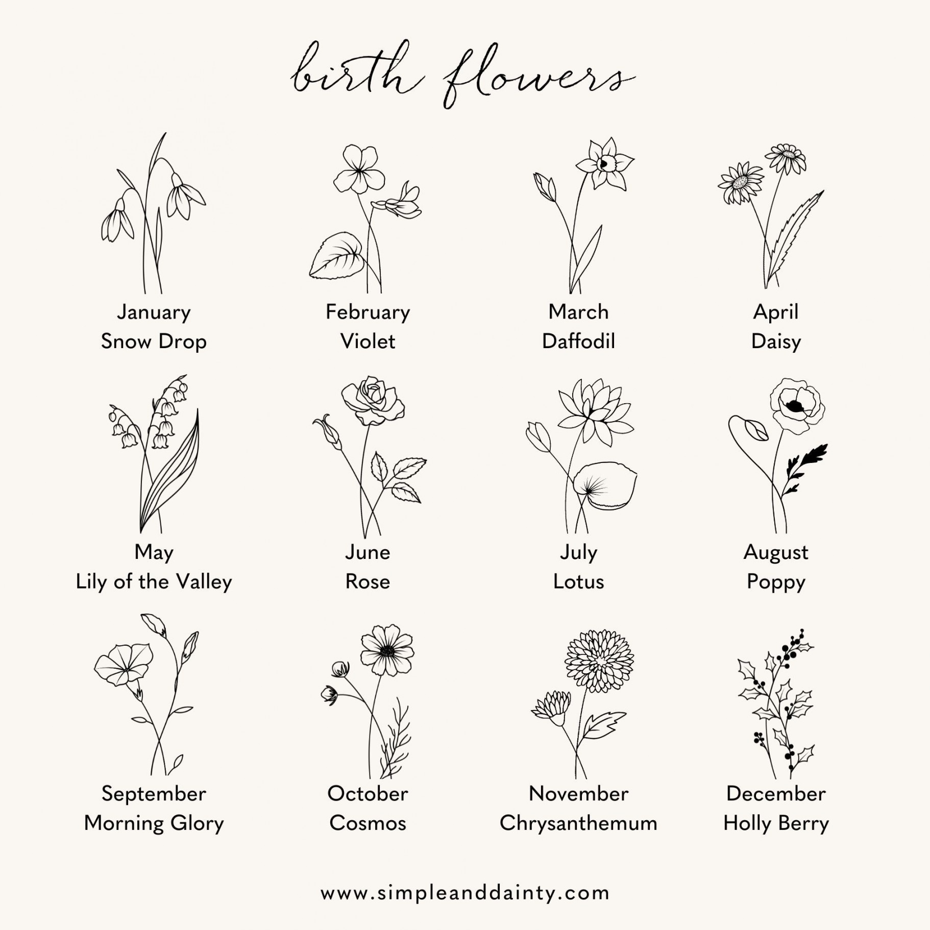 Birth Flowers & Their Meanings  Simple & Dainty