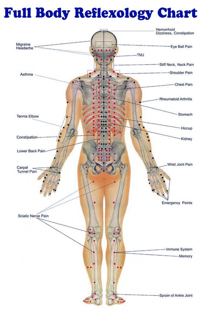 Body Reflexology Chart  Reflexology massage, Reflexology, Body