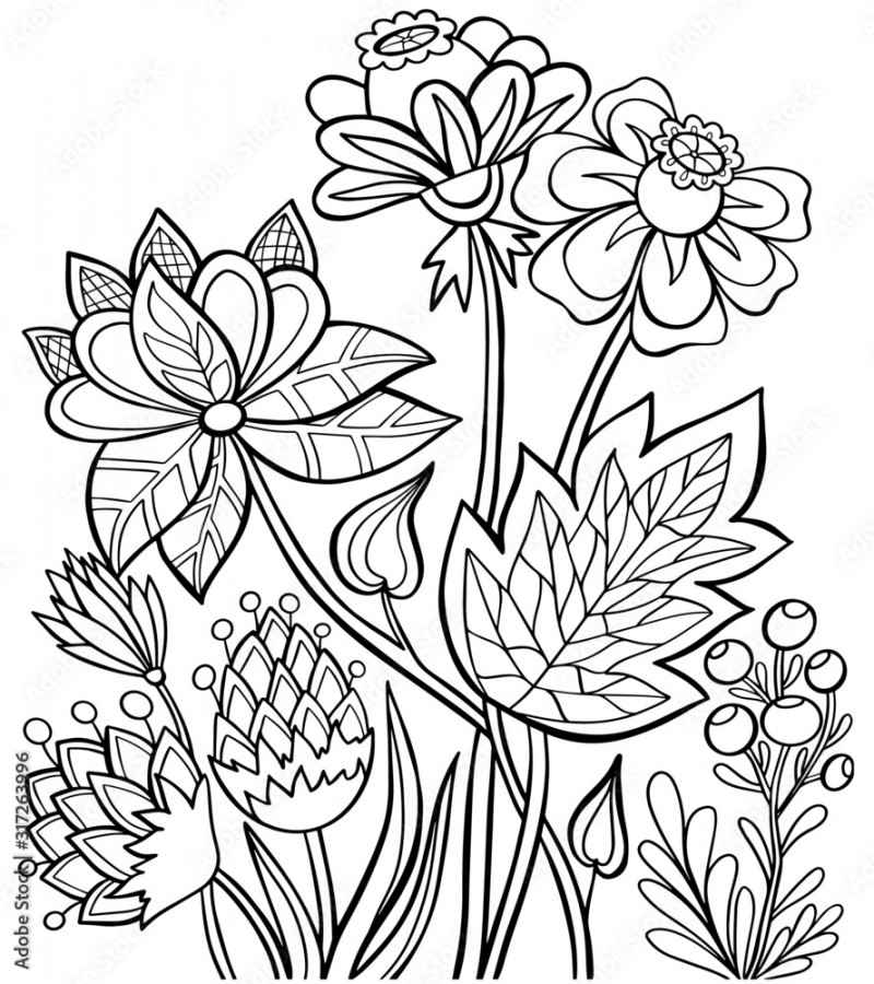 book coloring page flowers nature berries graphic outline black