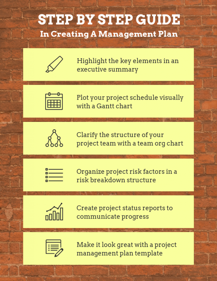 Brown Management Plan Guide Infographic Template - Venngage