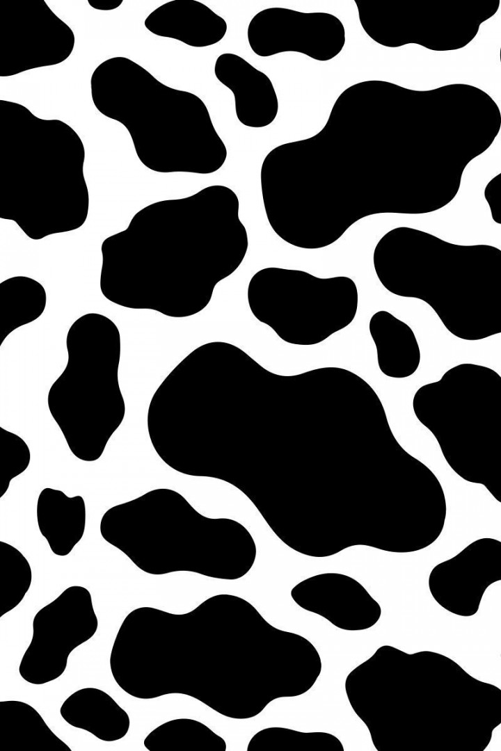 Cow Print Wallpaper - Wallpaper Sun  Cow wallpaper, Cow print