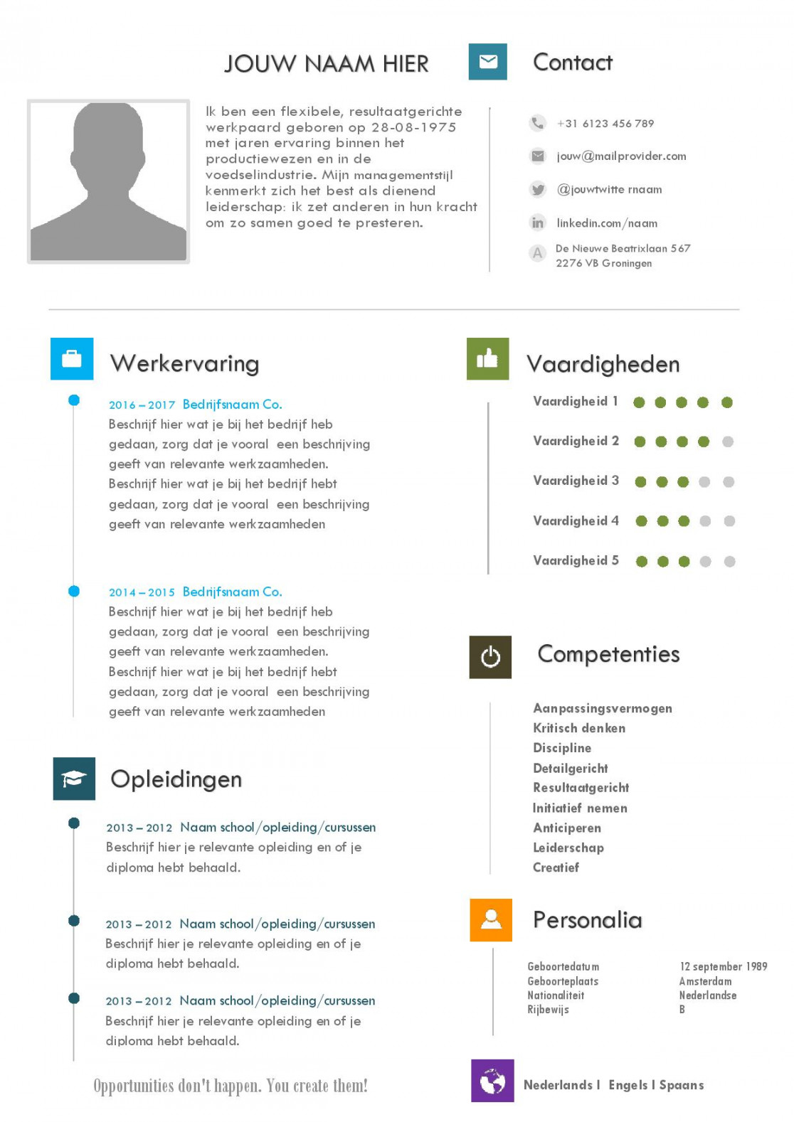 Design CV template Nederlands in Word format