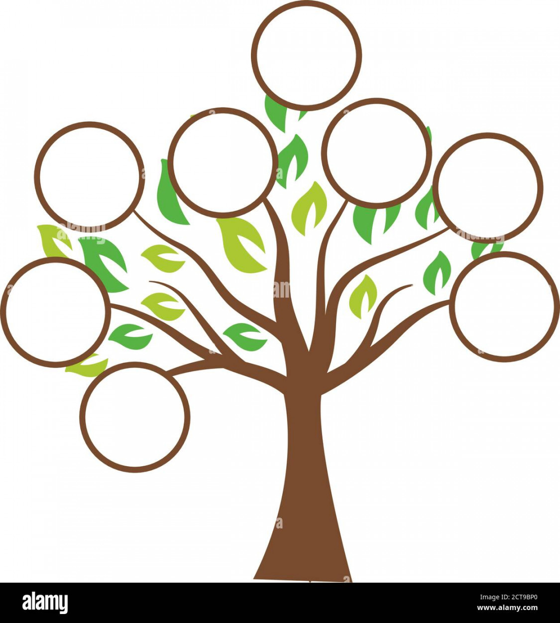 Family tree genealogy Cut Out Stock Images & Pictures - Alamy