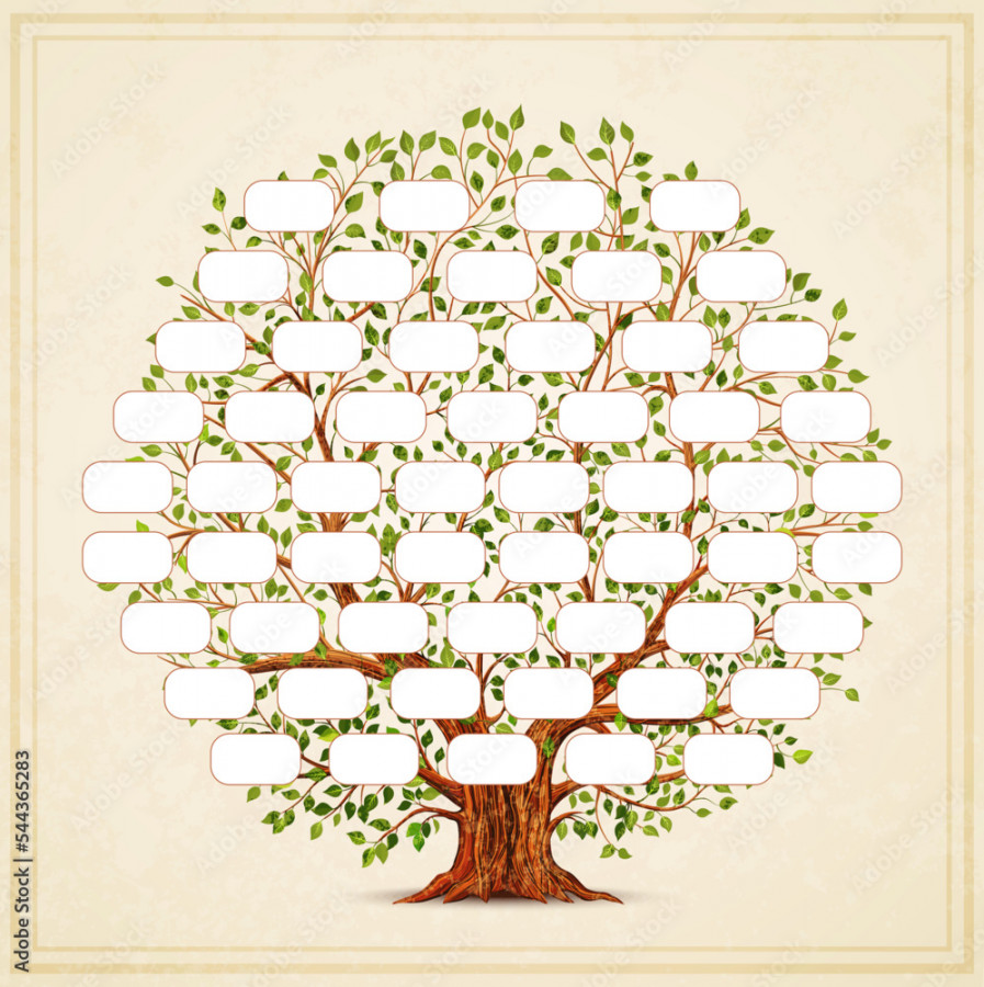 Family Tree template. Genealogy, pedigree