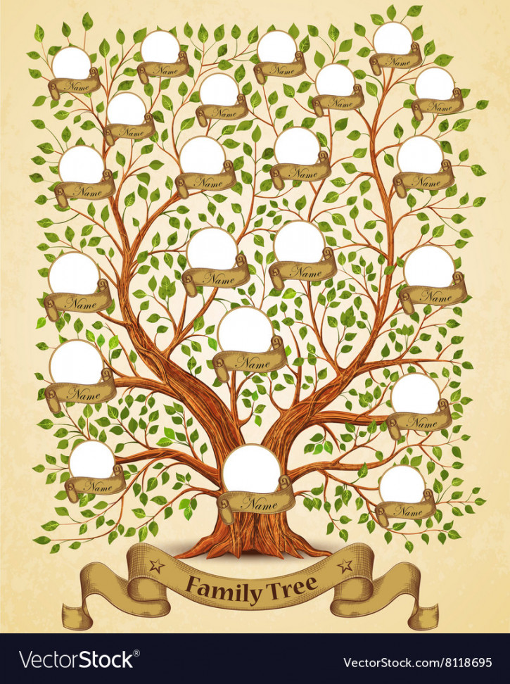 Family tree template vintage Royalty Free Vector Image