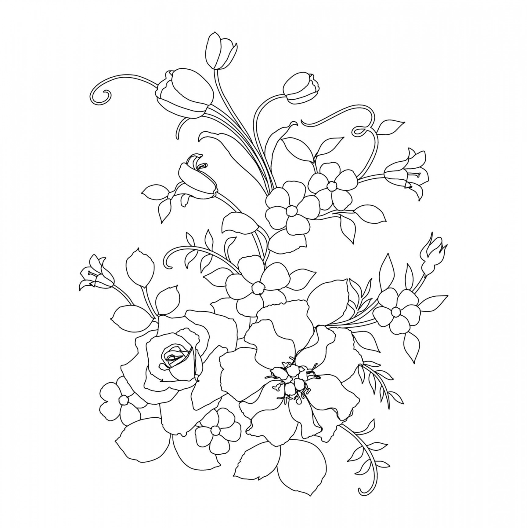 Floral Coloring Pages,Flower Line Arts,Silhouette Art Line Floral