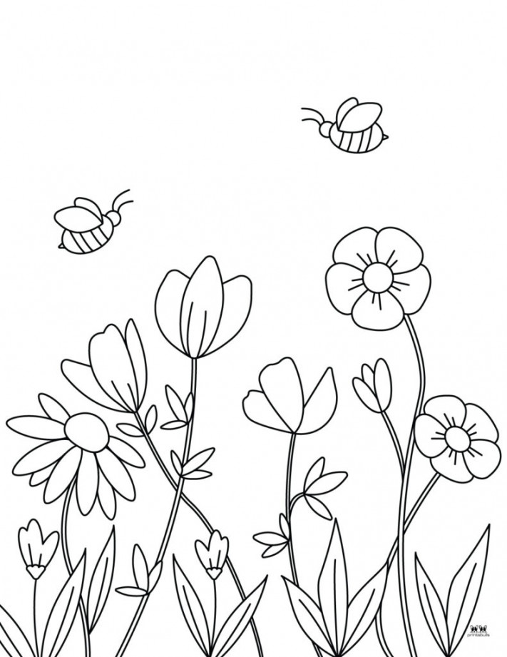 Flower Coloring Pages -  FREE Printable Pages  Printabulls