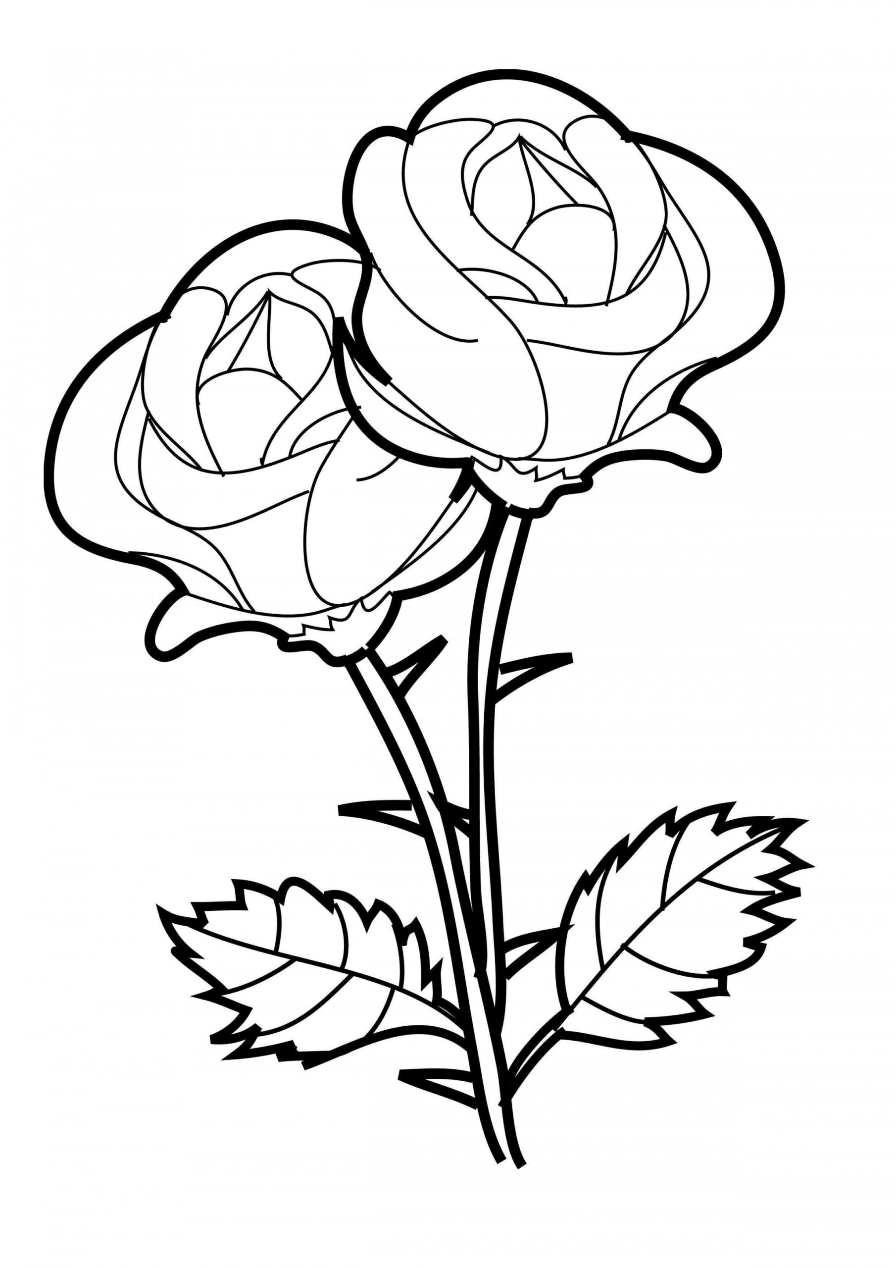 Flower Coloring Pages  Printable flower coloring pages, Heart