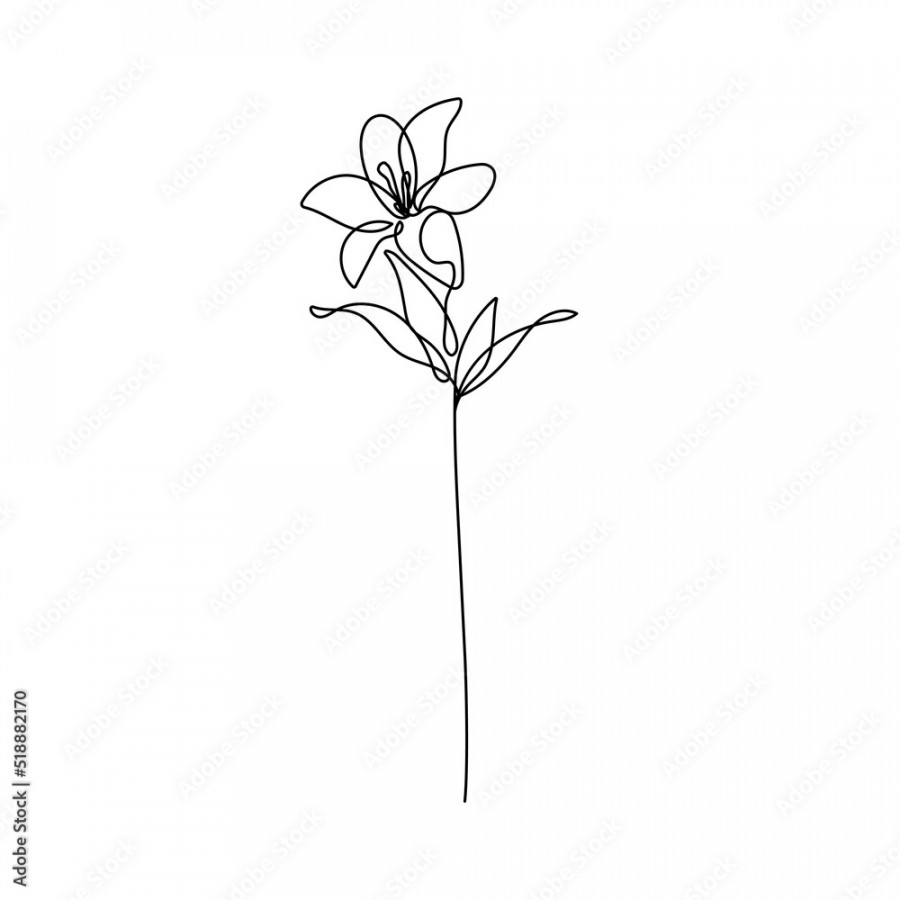 Flower Line Art Drawing