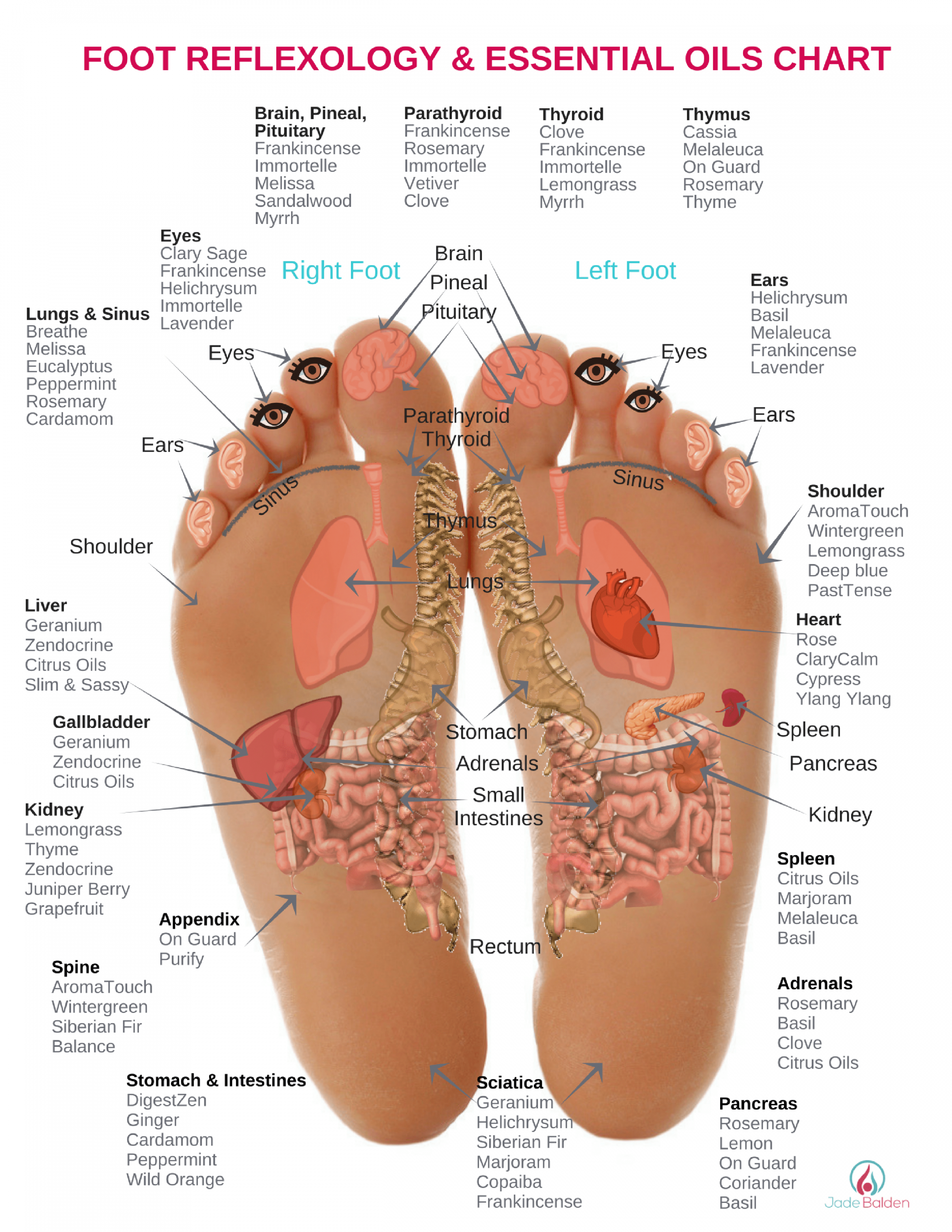 Foot Reflexology & Essential Oils Chart  Jade Balden