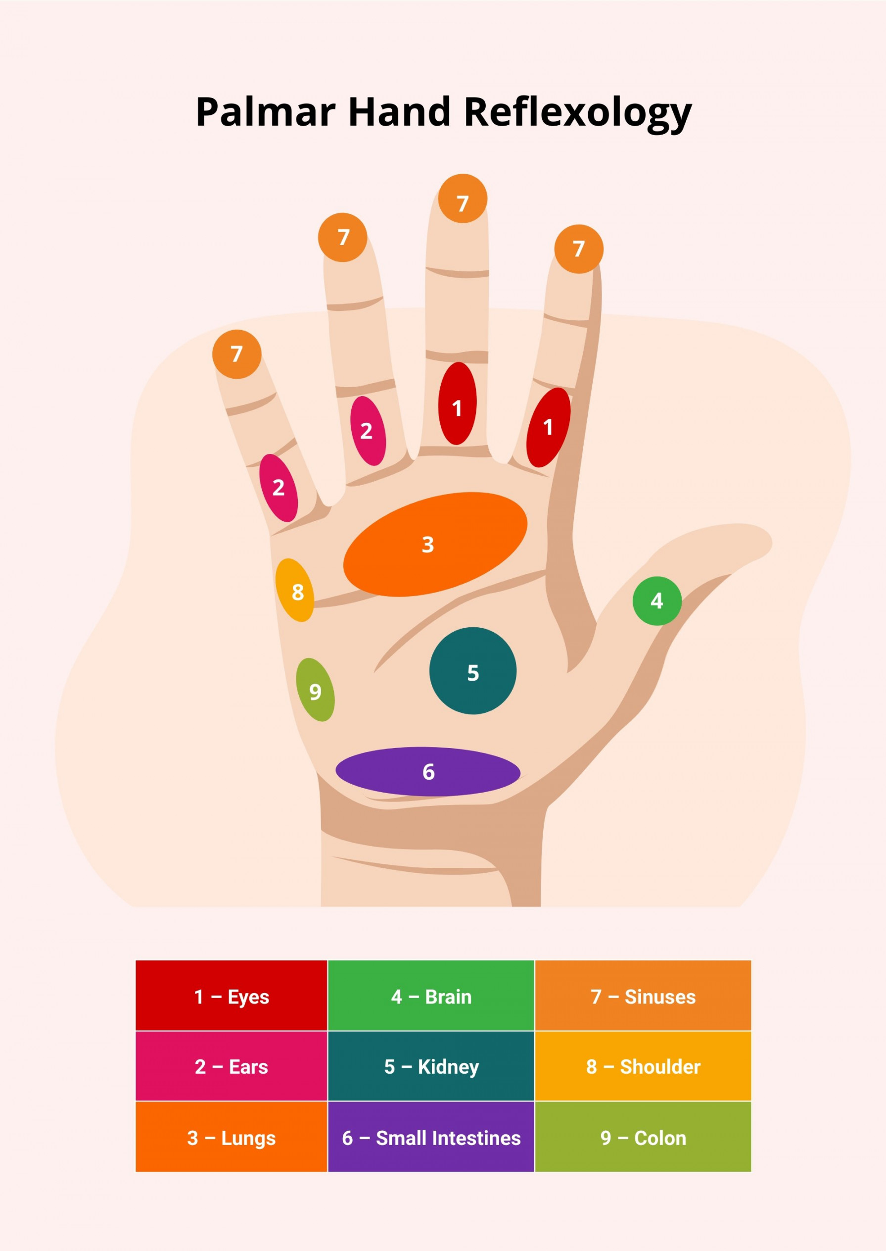 Free Hand Reflexology Chart - Download in PDF, Illustrator