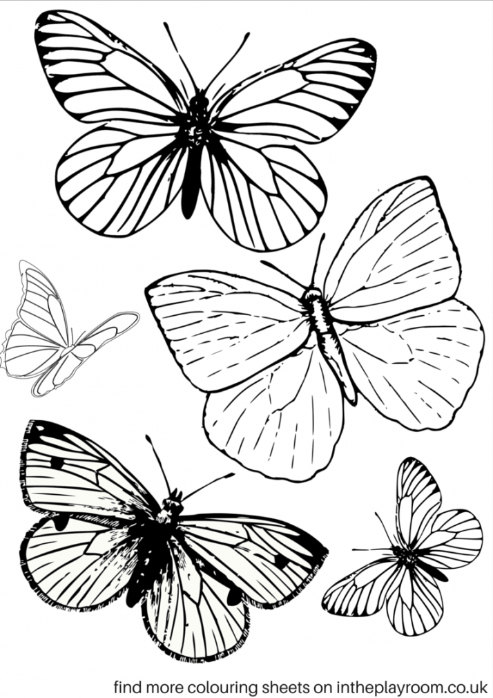 Free Printable Butterfly Colouring Pages  Butterfly printable