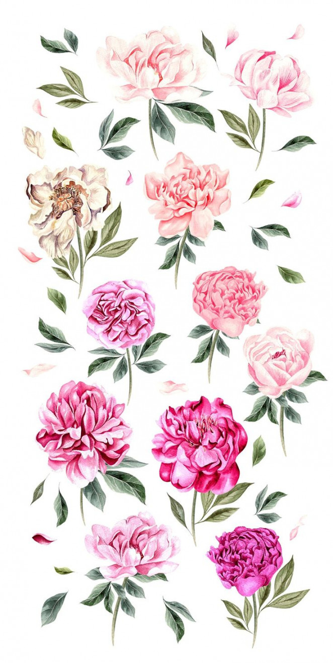 Hand Drawn Watercolor BUNDLE   Flower drawing, Peonies, How to