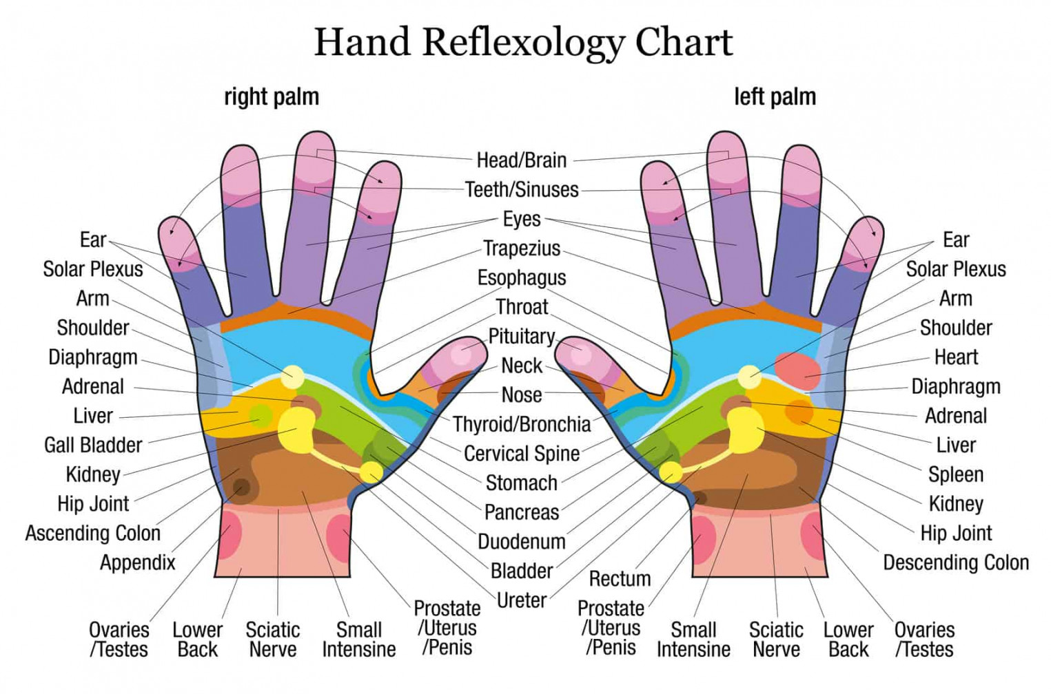 Hand Pressure Points: Chart and Uses – Pso-Rite™