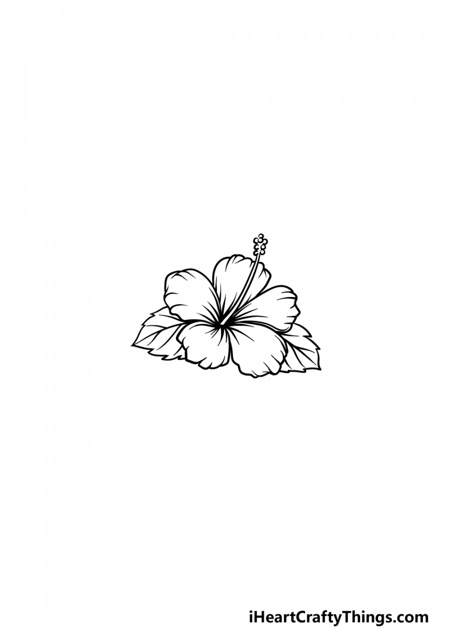 Hawaiian Flower Drawing - How To Draw A Hawaiian Flower Step By Step