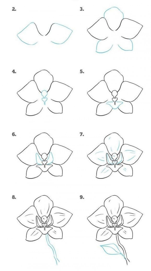 how-to-draw-a-flower-step-by-step-diy-tutorial-easy-pictures-to