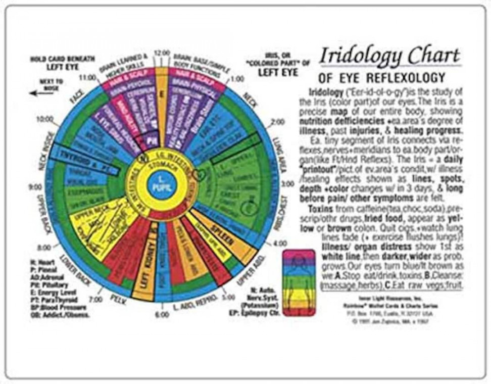 Iridology CHART of EYE REFLEXOLOGY rainbow Coded in the - Etsy Canada