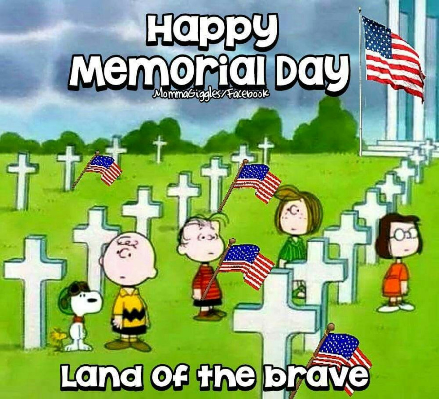 Memorial Day  Snoopy funny, Happy memorial day, Snoopy love