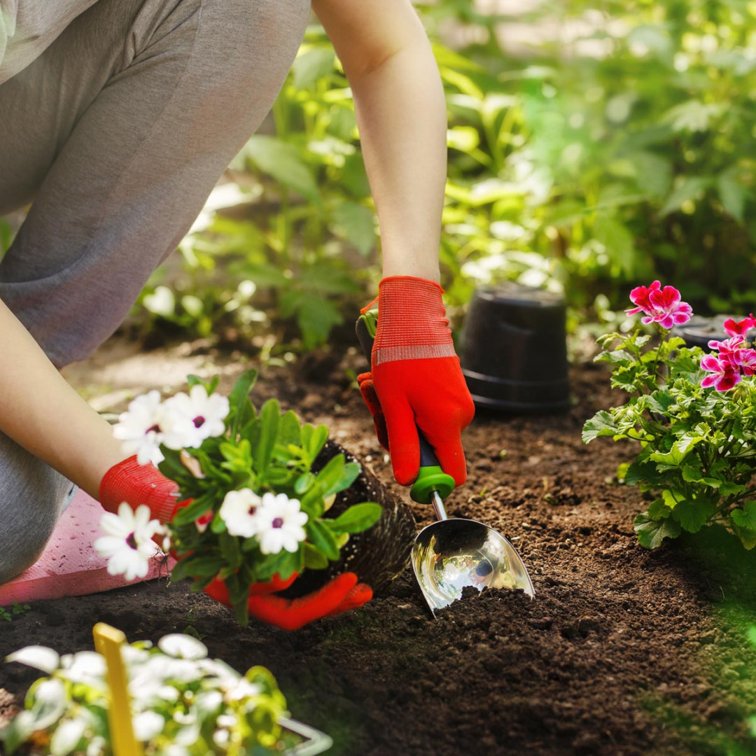 NATIONAL PLANT A FLOWER DAY - March ,  - National Today