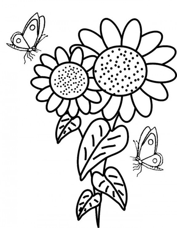 Pin on  Beautiful Sunflower Coloring Pages